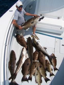 Southport fishing charters